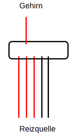 McCulloch Additivit&auml;t